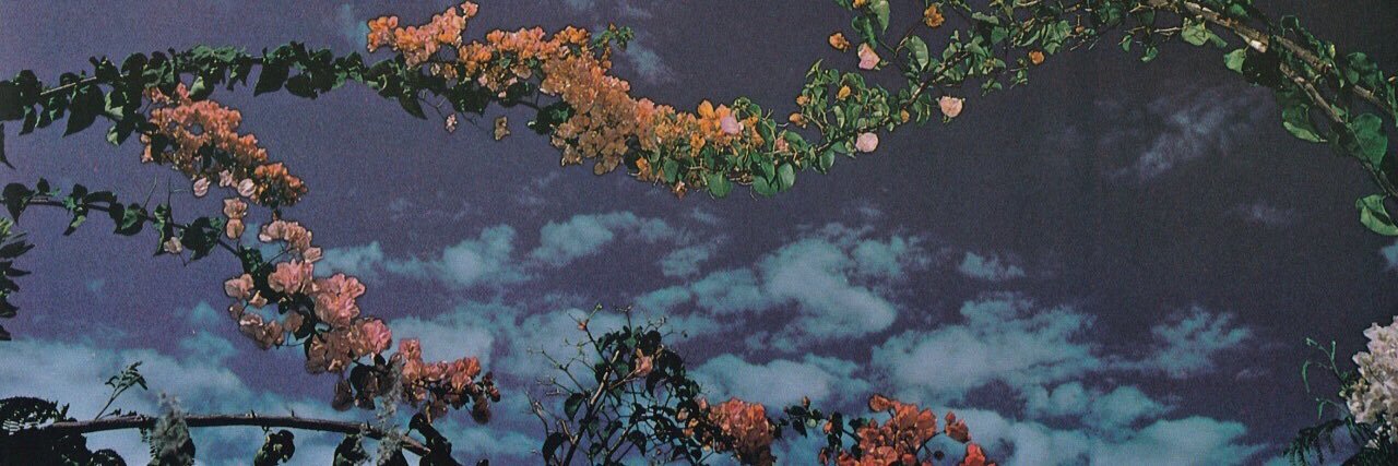 Mvllvk's profile banner image
