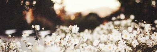 𝑴𝒊𝒓𝒊𝒂𝒎 ψ banner