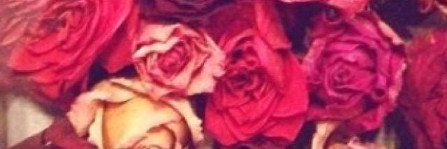 DanniSamm's profile banner image