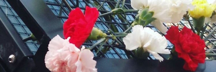 crlfernandez's profile banner image