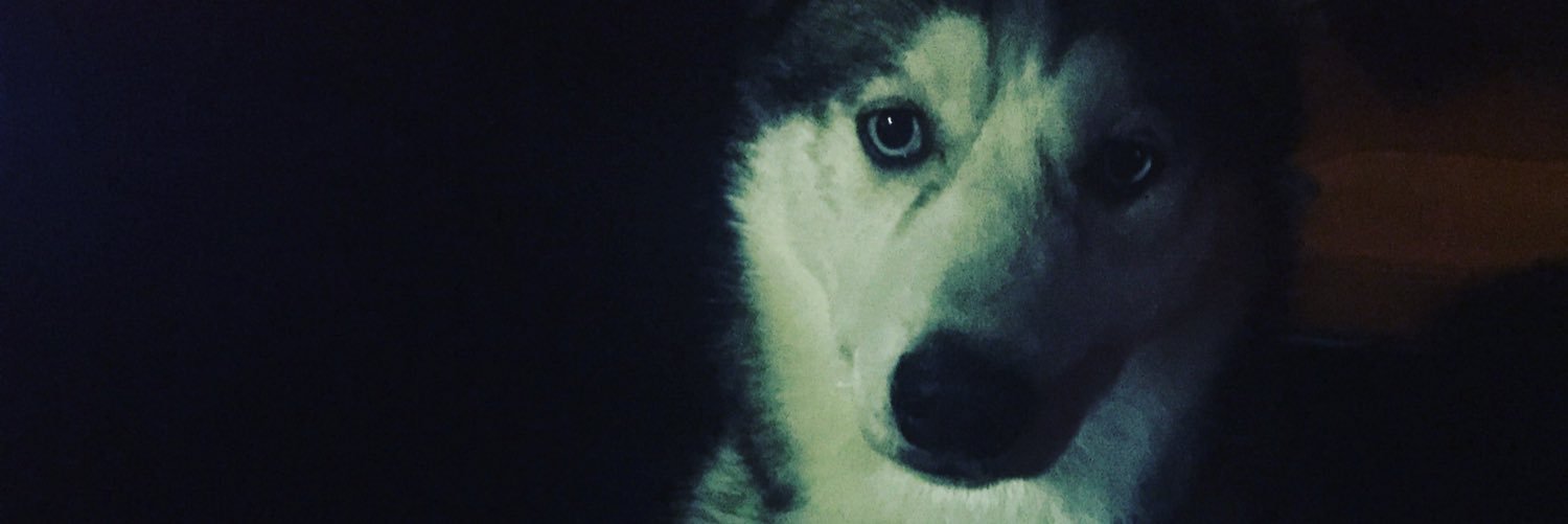 IbstaB's profile banner image