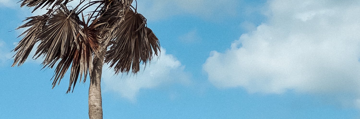 paolis_Lg's profile banner image