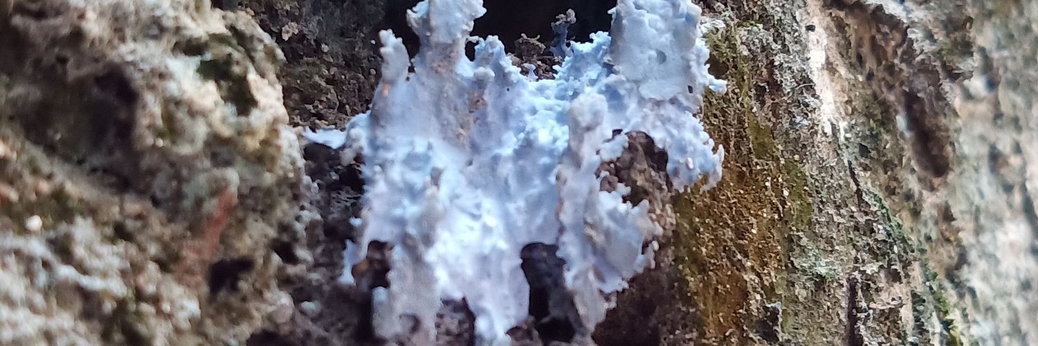 uro_ro's profile banner image
