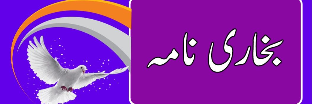 BashirBukhari1's profile banner image