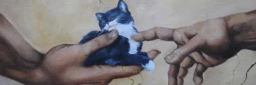 dkayssi's profile banner image