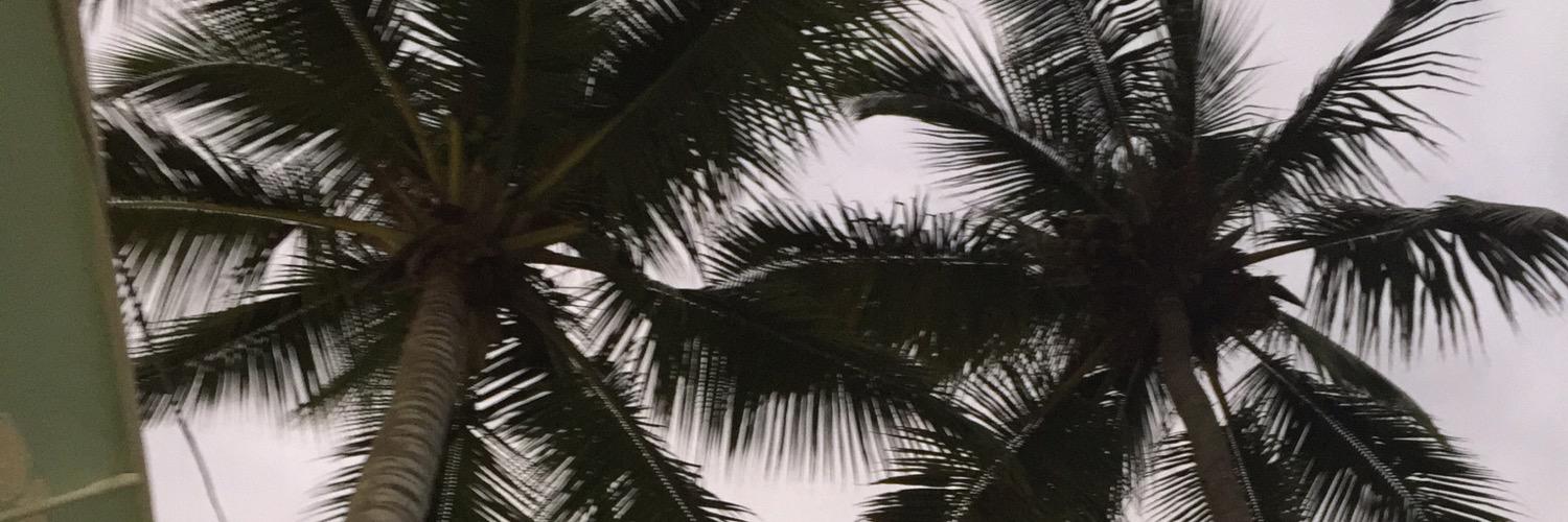 grismaldyvc's profile banner image