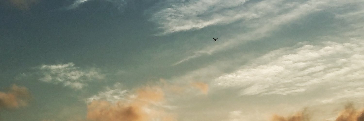 meiihui's profile banner image
