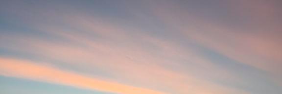 Sarah Fitz-Gerald banner