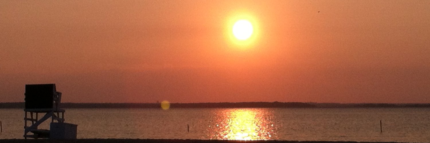 shellipell's profile banner image