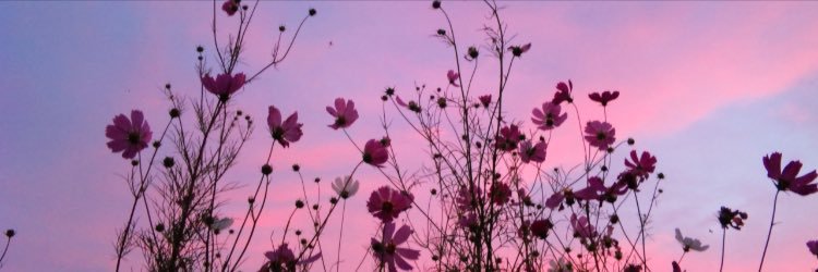 emsong4's profile banner image