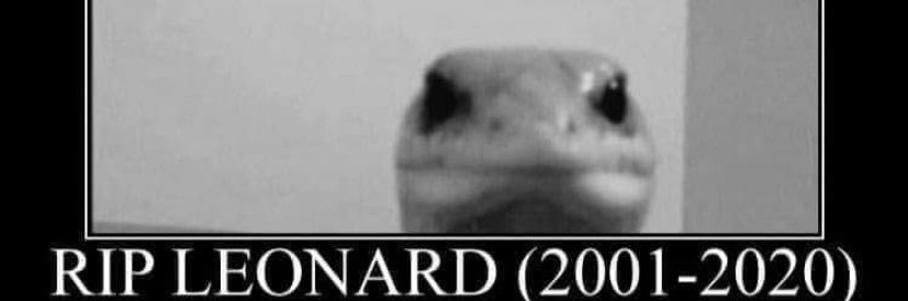 dmelara19's profile banner image
