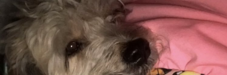 MariaCuartas18's profile banner image
