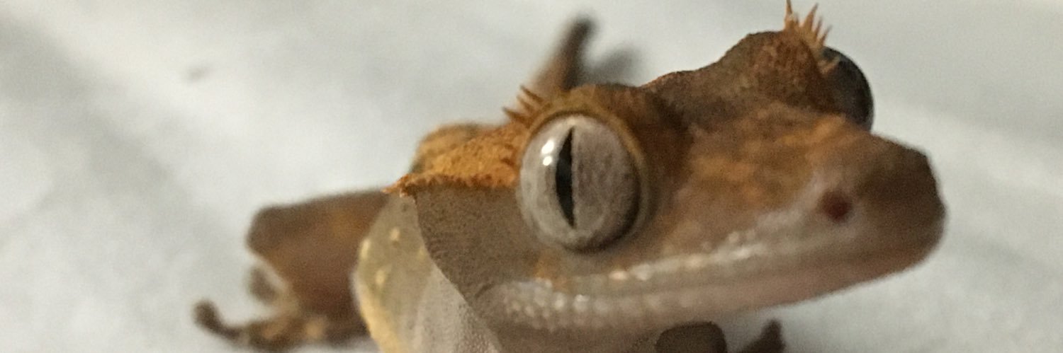 mason99_'s profile banner image