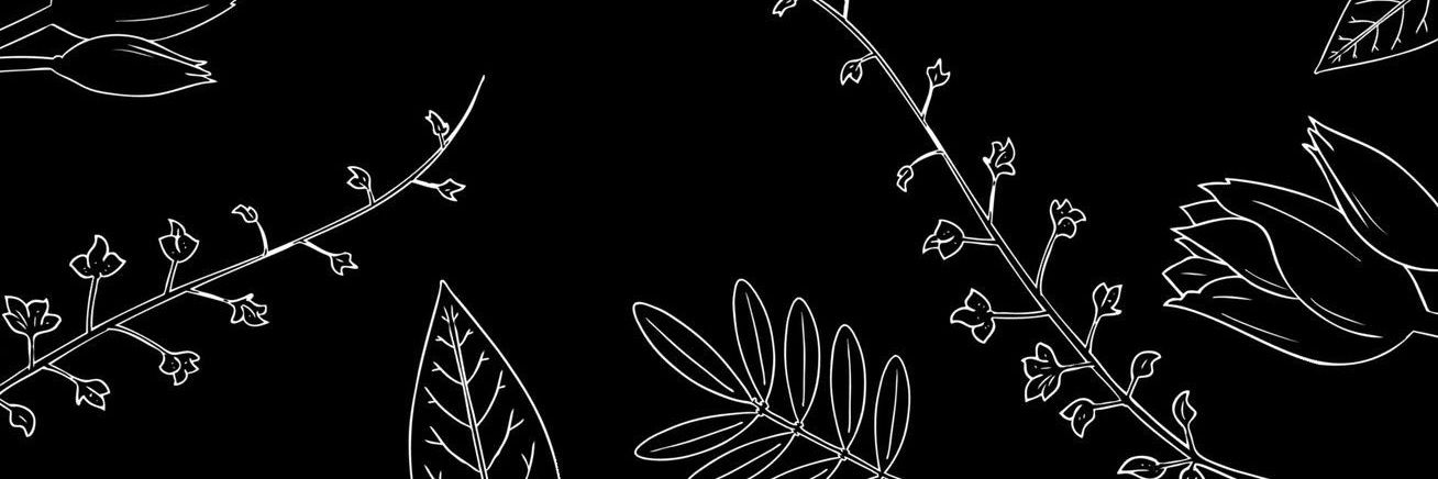 fiorepardo's profile banner image