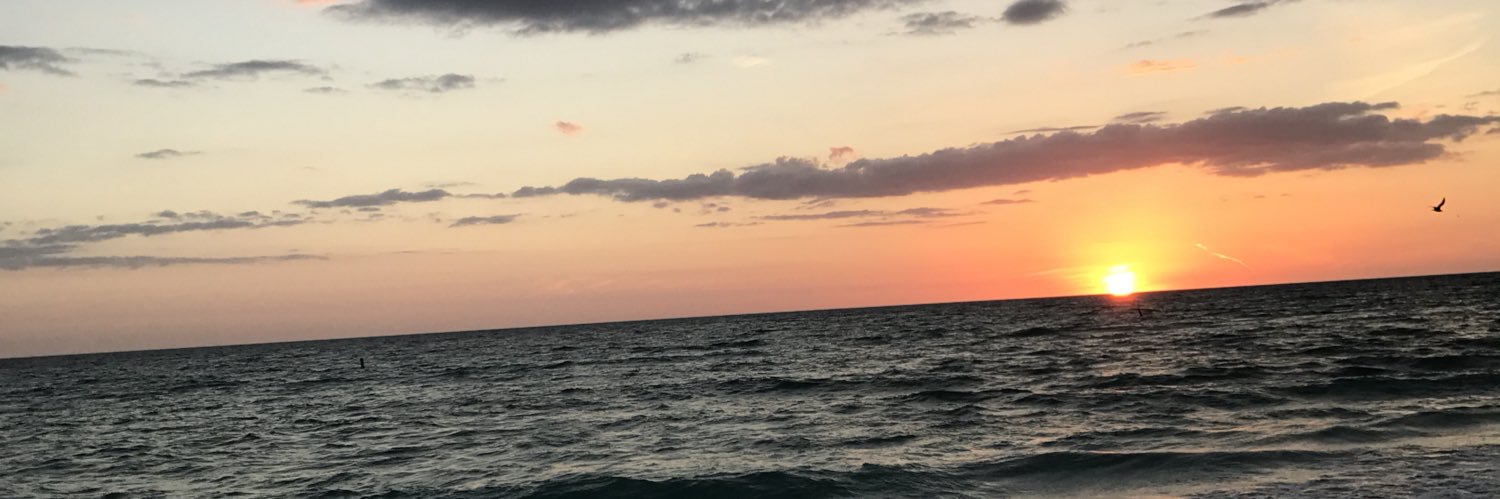 seekharmony's profile banner image