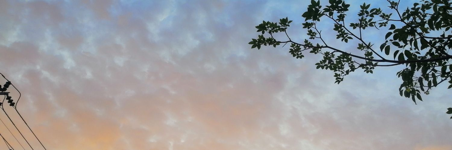 julluj's profile banner image
