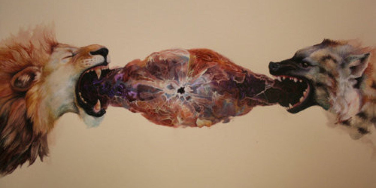 Mariana Terán banner