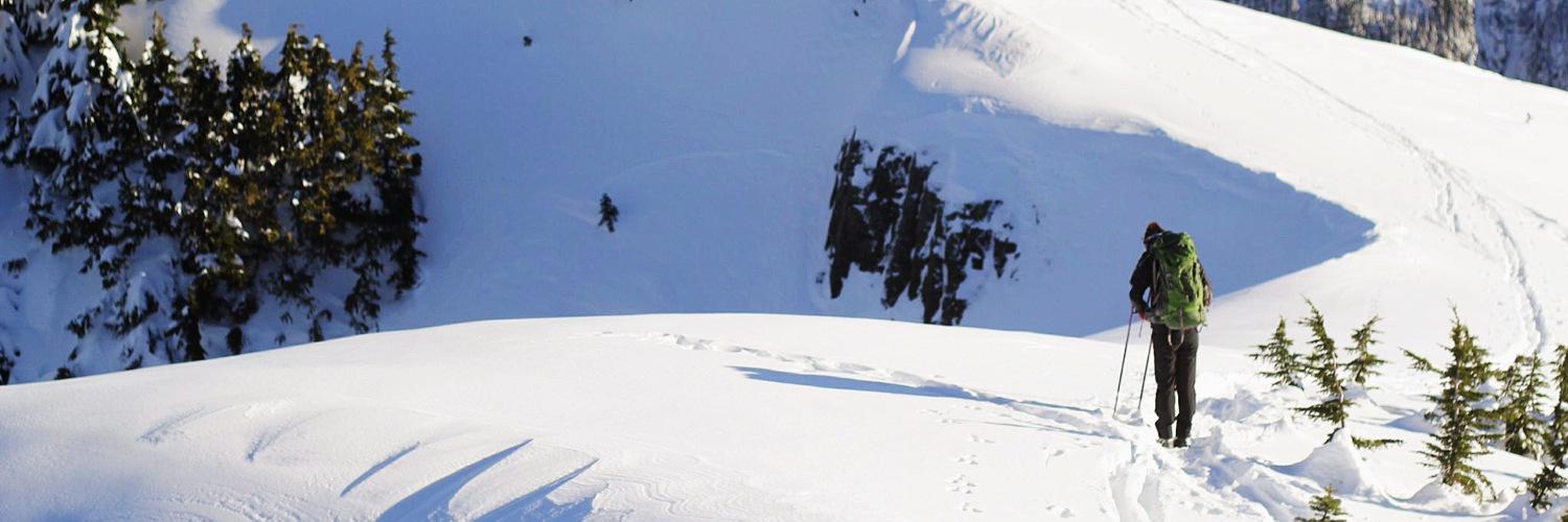 PNWWanderer's profile banner image