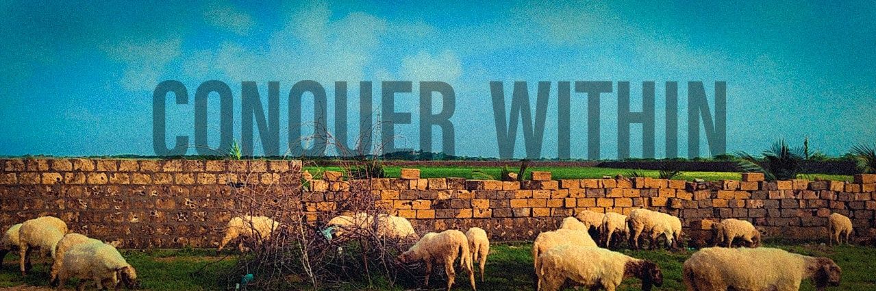 TheCrypto_Loger's profile banner image