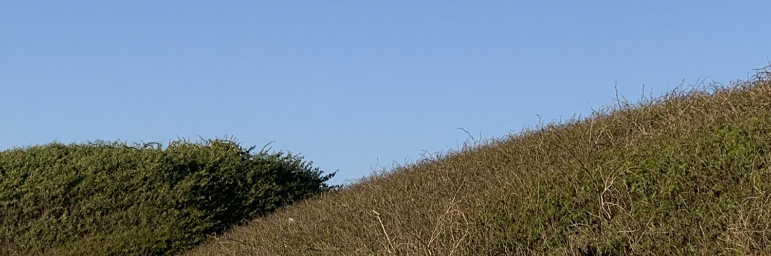 ranarene07's profile banner image