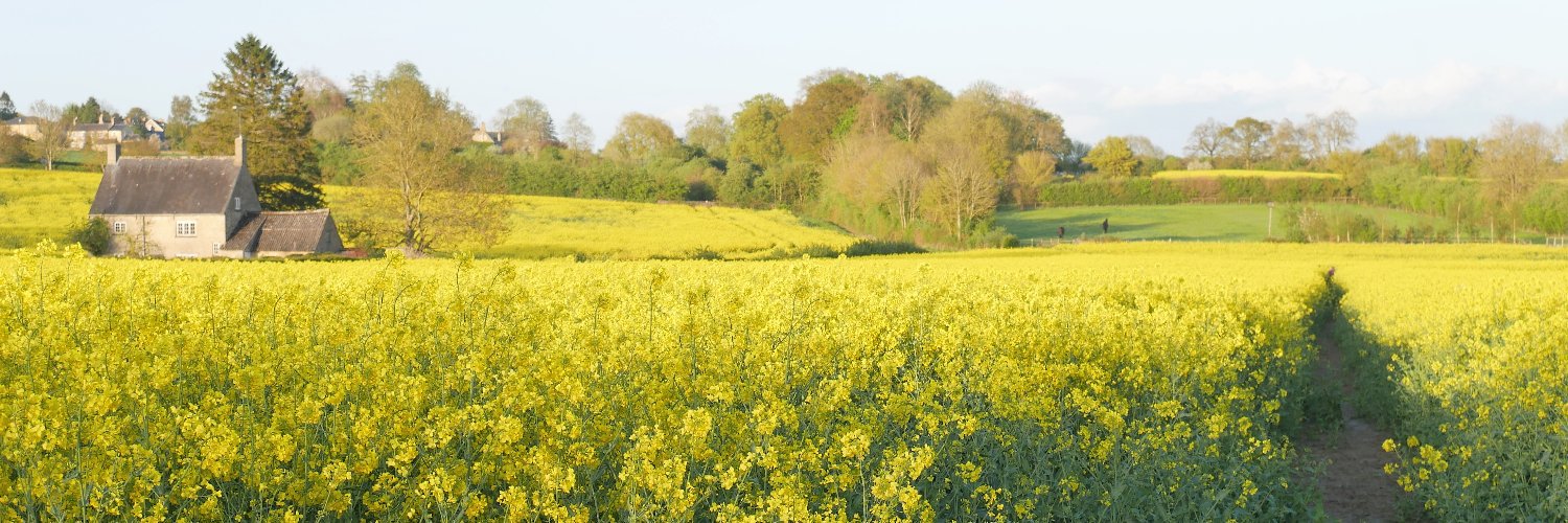 Nigel Ridpath - now over on Bsky banner