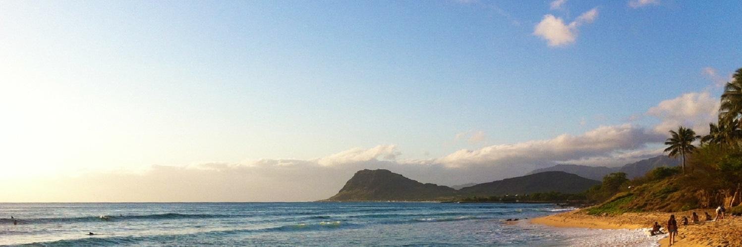 MalulaniAloha's profile banner image