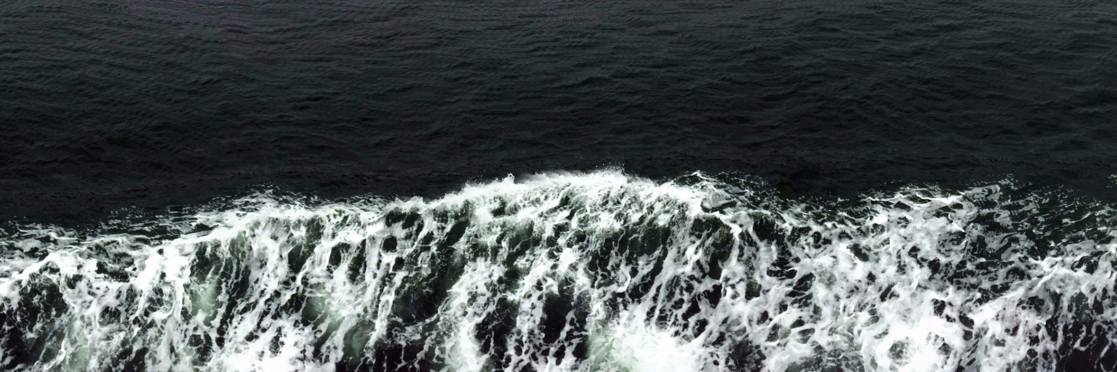 Marcus Burkhardt banner