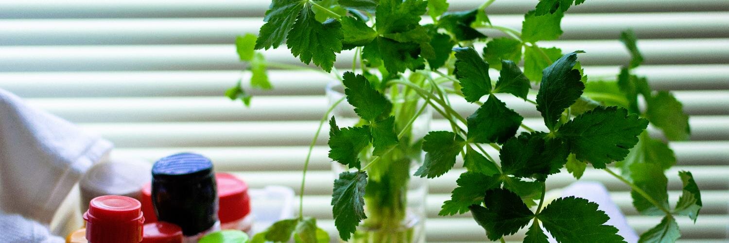 edamame's profile banner image