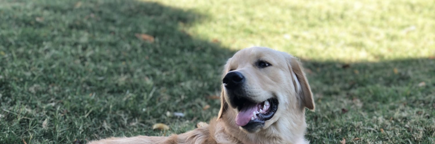 emily corbitt banner