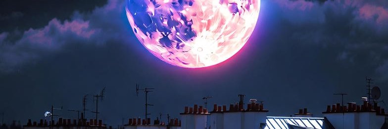 monocidar's profile banner image