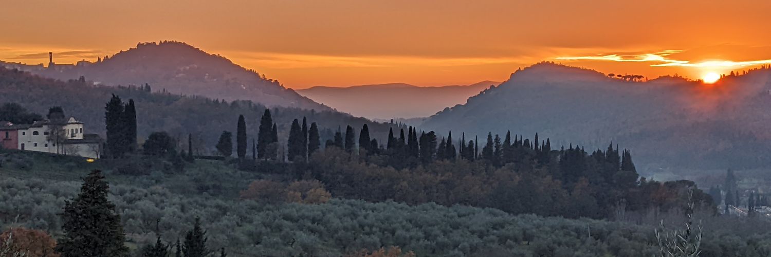 Nicholas Walton banner