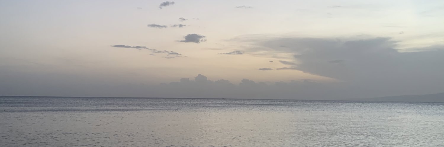 auramreyesb's profile banner image