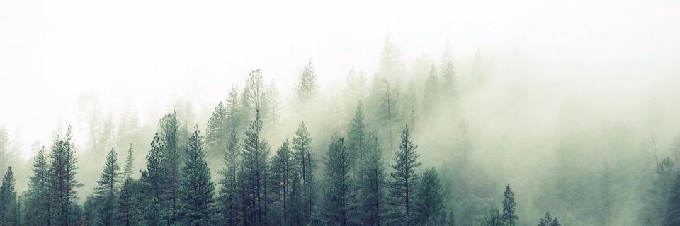 anttiosara's profile banner image