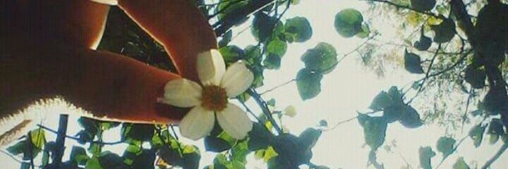 _josenka's profile banner image