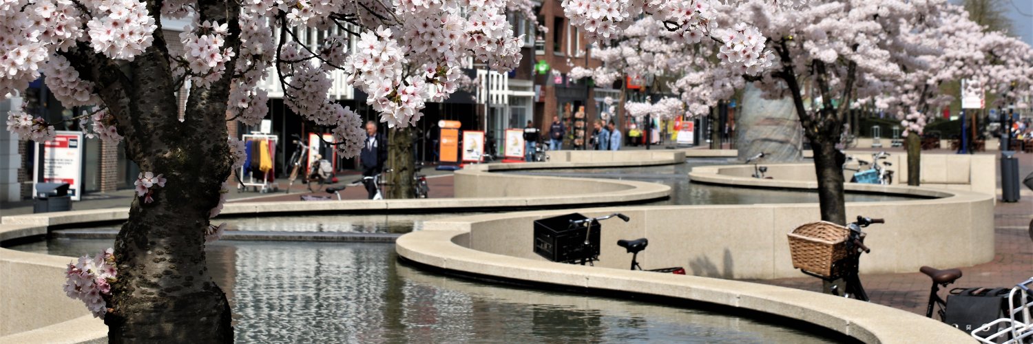 HoogeveenscheCourant banner