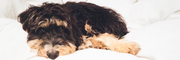 ruairiak Profile Banner