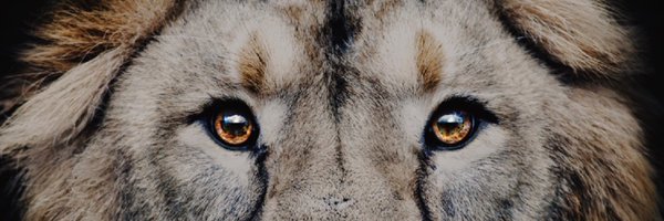 Danny__mejia Profile Banner