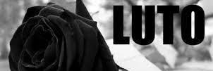 danolifarr's profile banner image