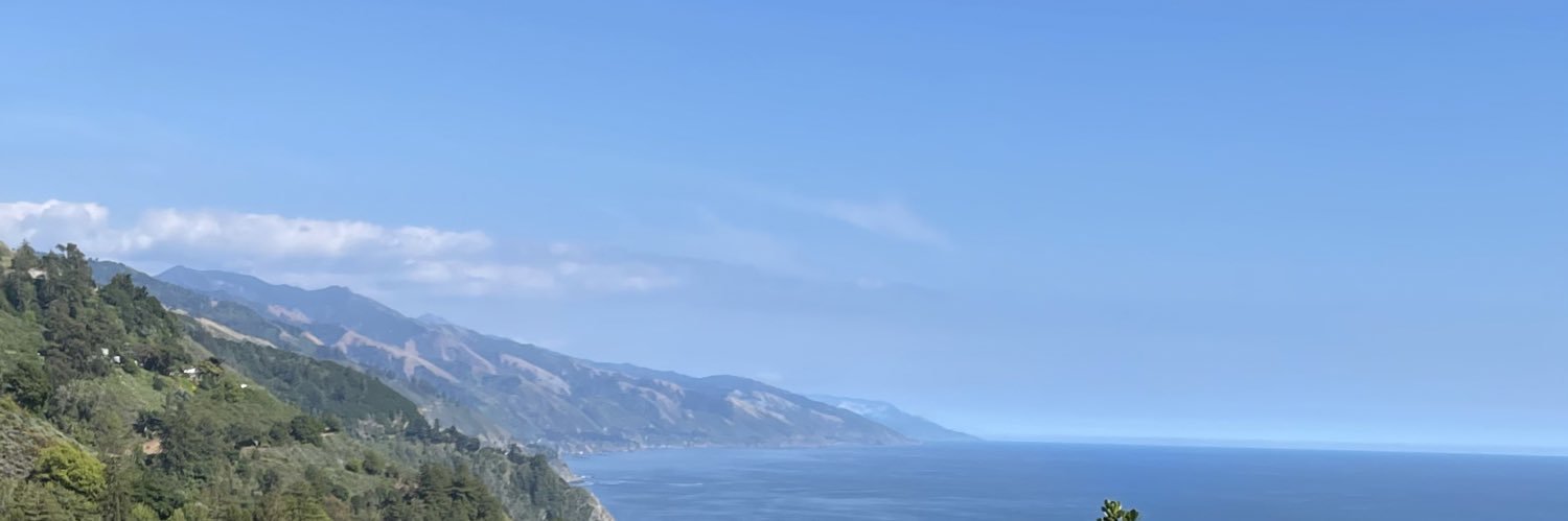 Eli Lippman banner
