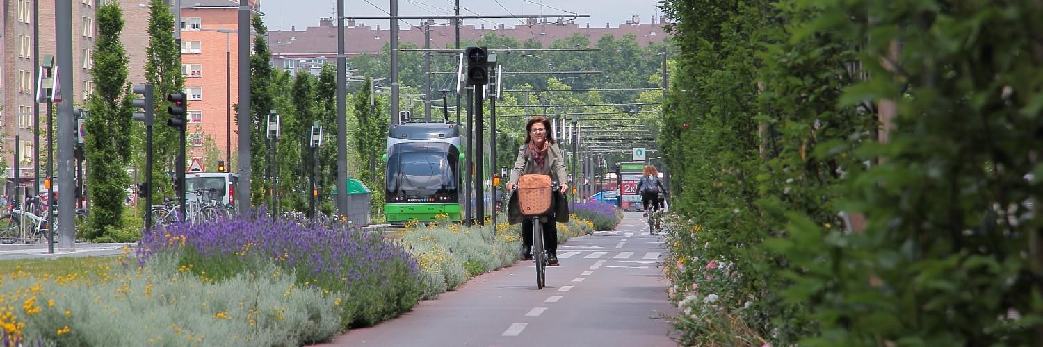 CEA Vitoria-Gasteiz banner