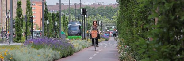 vg_cea Profile Banner