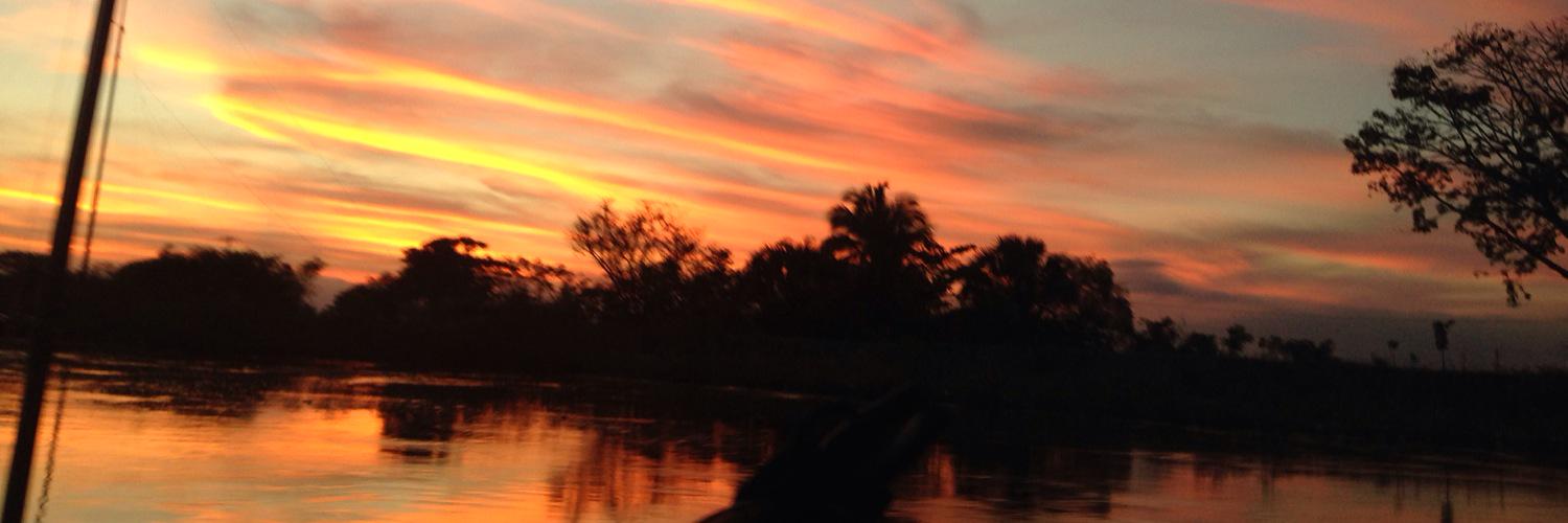 mpedrero1's profile banner image