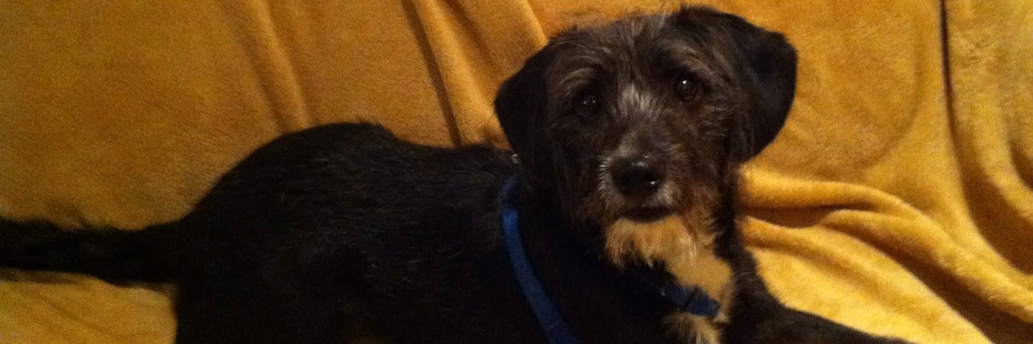 Victoria Johnson banner