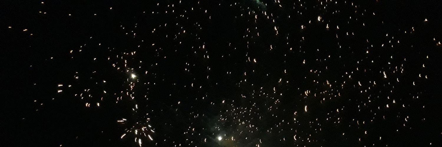 Ravencaravono's profile banner image