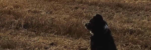 keepsmiling5942 Profile Banner