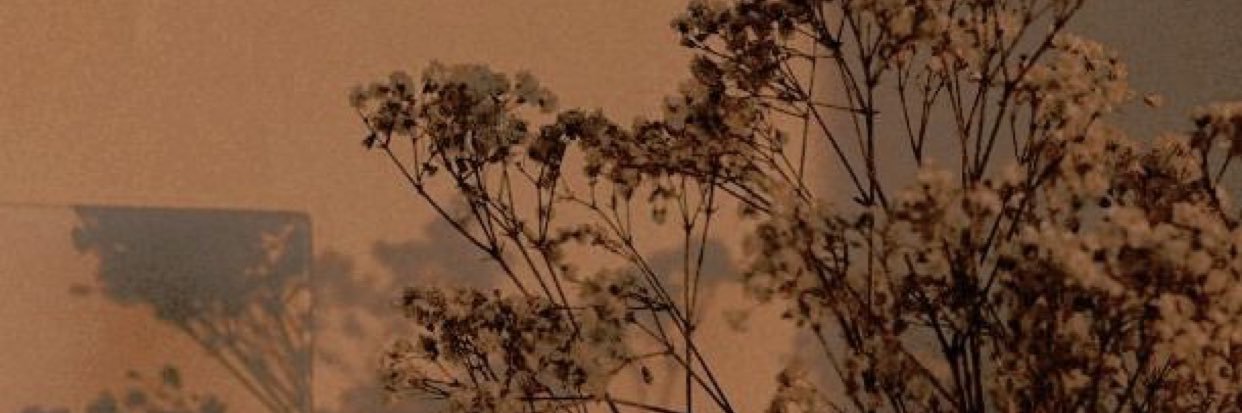 Sandy_cheeeeks's profile banner image