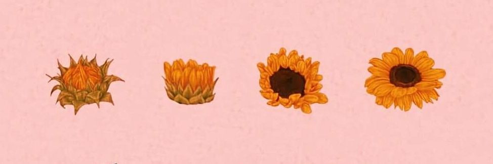 Valentinau111's profile banner image