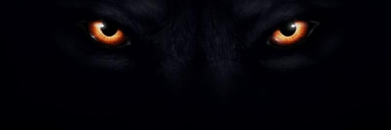 UntouchableWolf banner