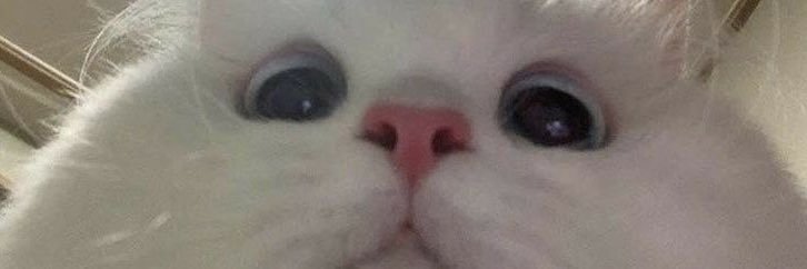 alvirach's profile banner image