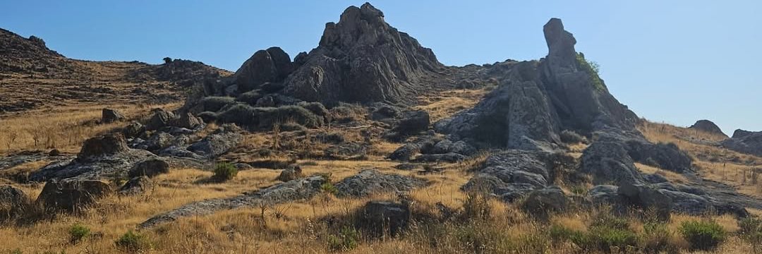 amayabales's profile banner image